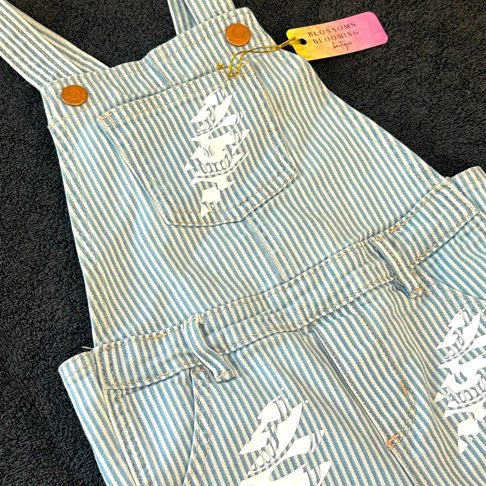 4T Grateful Dead Overalls
